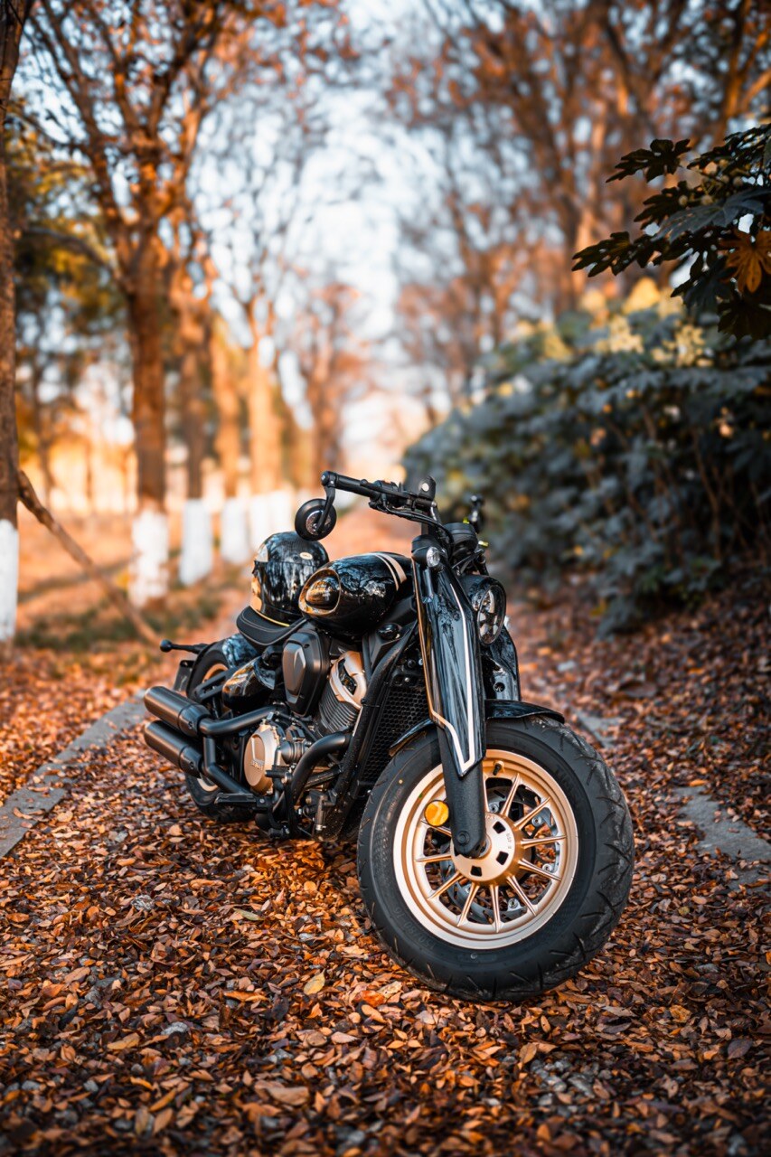 Benda Napoleon 500 Bobber, Phân Phối Chính Hãng, Giá Rẻ Tại Gia Lai