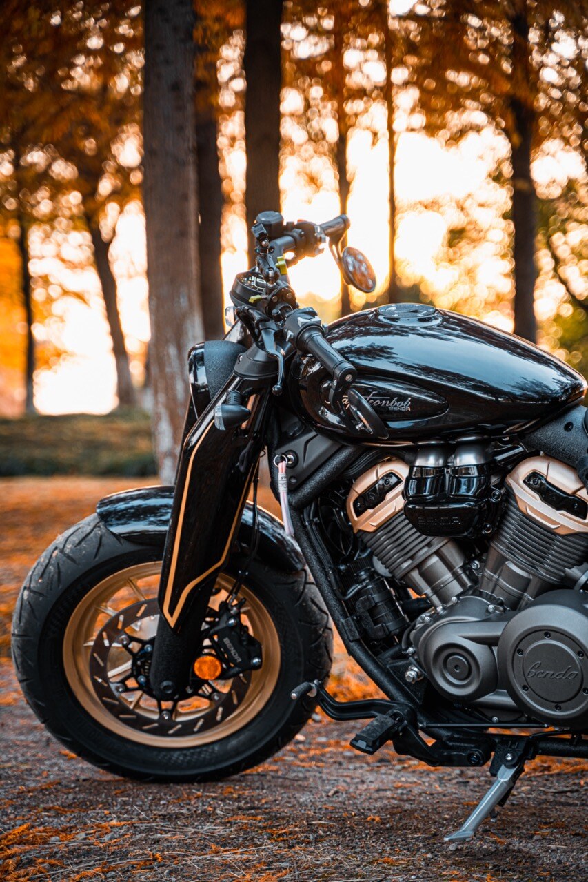 Benda Napoleon 500 Bobber, Phân Phối Chính Hãng, Giá Rẻ Tại Gia Lai