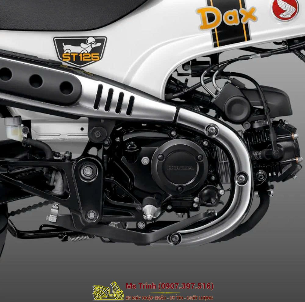Honda Dax ST125 2026 tại Gia Lai - Minibike huyền thoại khung T-Bone đầy cá tính