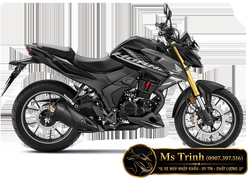 Honda Hornet 2.0 2026 - Naked Bike 184cc mới tại Gia Lai